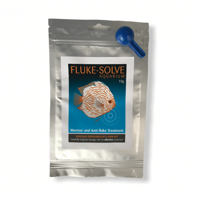 Fluke Solve Aquarium