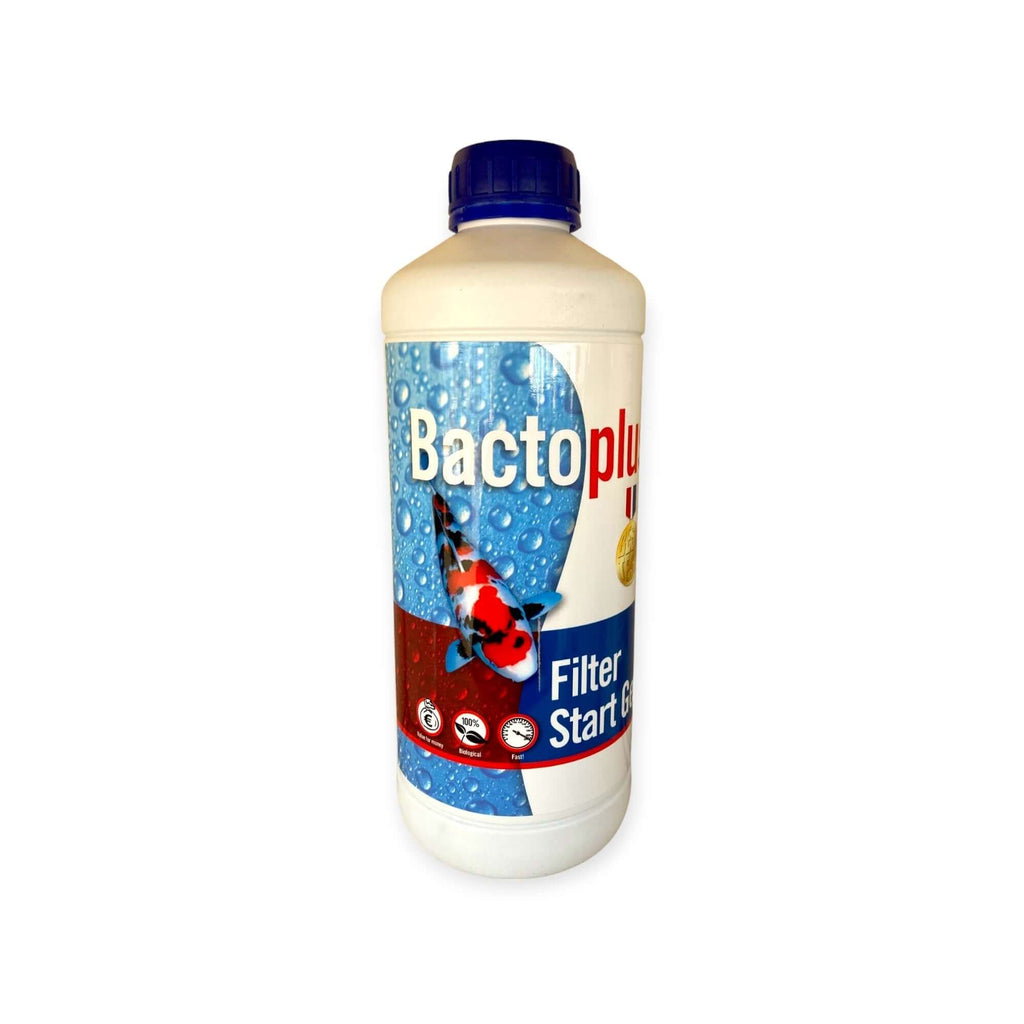Close-up of BactoPlus Filter Start Gel showing gel texture