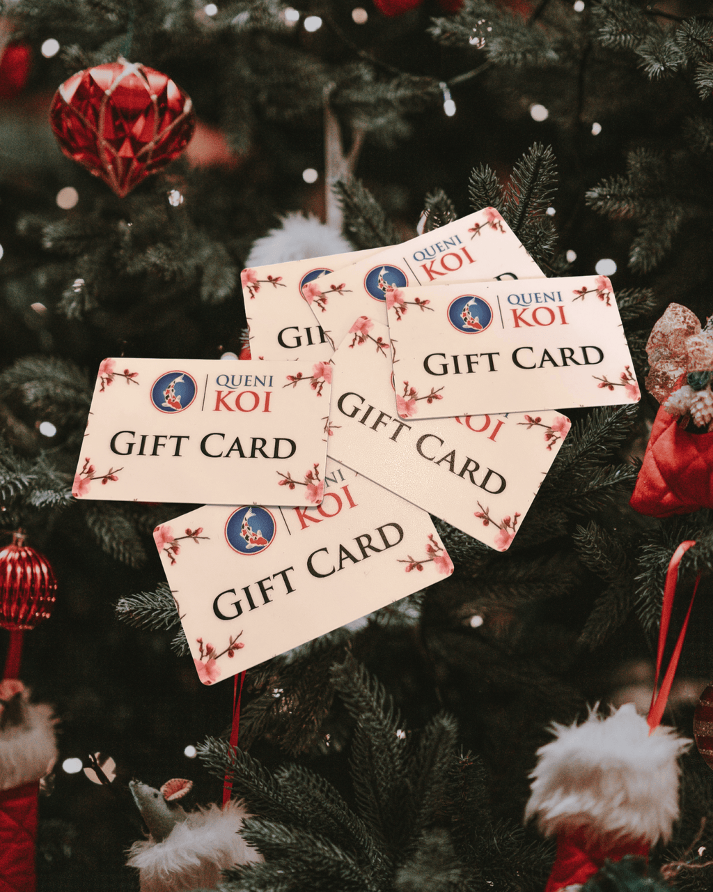 Queni Koi Physical Gift Card – Koi Pond Supplies Gift Card
