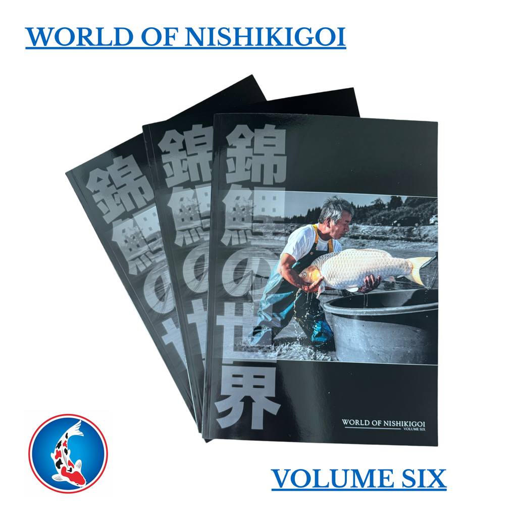 World of Nishikigoi - Volume 6