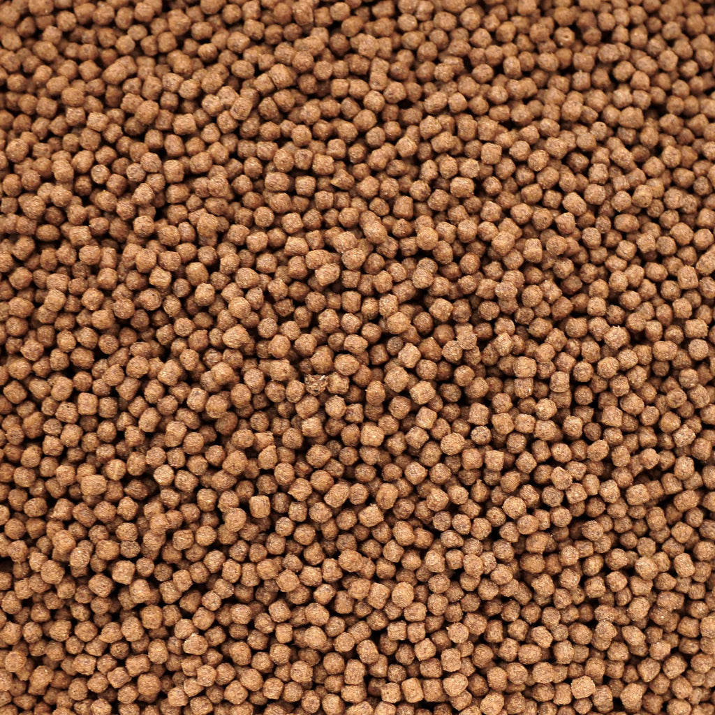 Kenko Multi Season Wheatgerm Koi Food – 3mm & 6mm Pellets