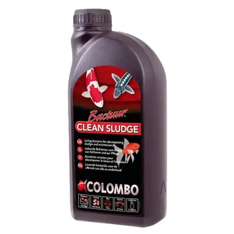 Colombo Bactuur Clean 1 Litre bottle – living bacteria solution for ponds