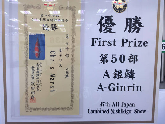 12656087_10156480561995483_1137536045_o