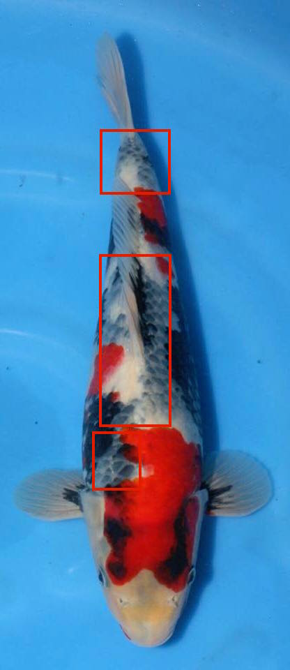 15380435_10153871202471307_1131736609062570583_n