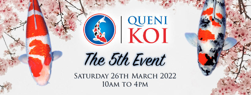 2022 business facebook copy