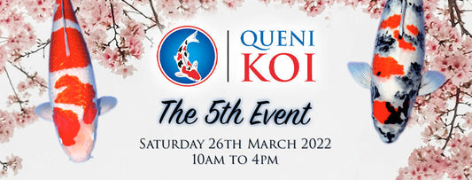 2022 business facebook copy