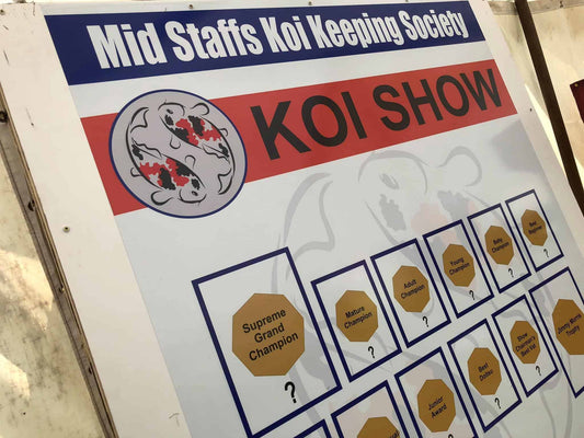 68475689_2337805999816848_6235632188340043776_o