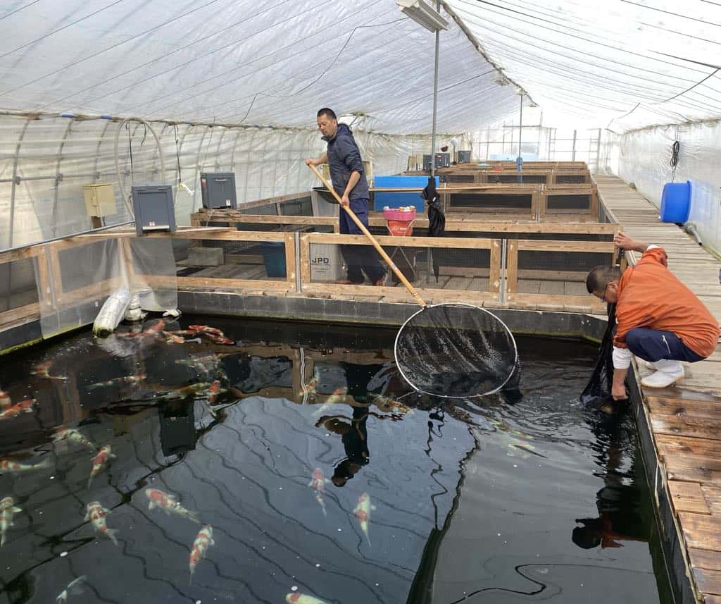 8dbb3c13 2fca 4ae5 a4ba 7d7cc700ec4a