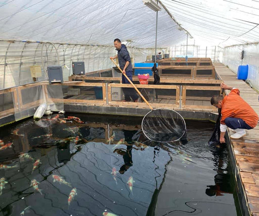 8dbb3c13 2fca 4ae5 a4ba 7d7cc700ec4a