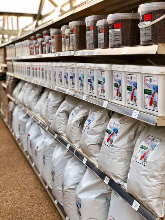 Photo 03-02-2019, 08 23 03