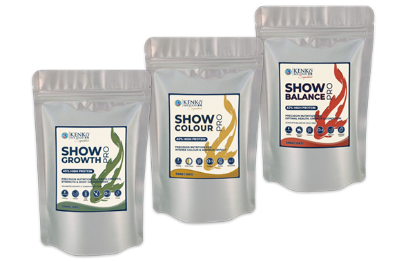 Kenko Show Pro Koi Food | Premium Nutrition Now Available at Queni Koi Southern