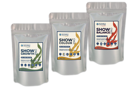 Kenko Show Pro Koi Food | Premium Nutrition Now Available at Queni Koi Southern