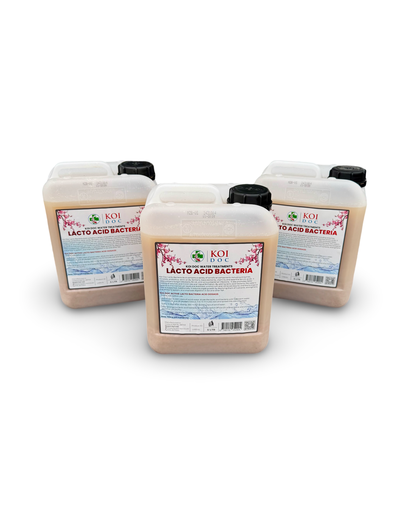 Koi Doc Lacto Acid Bacteria 1 Litre, 5 Litres