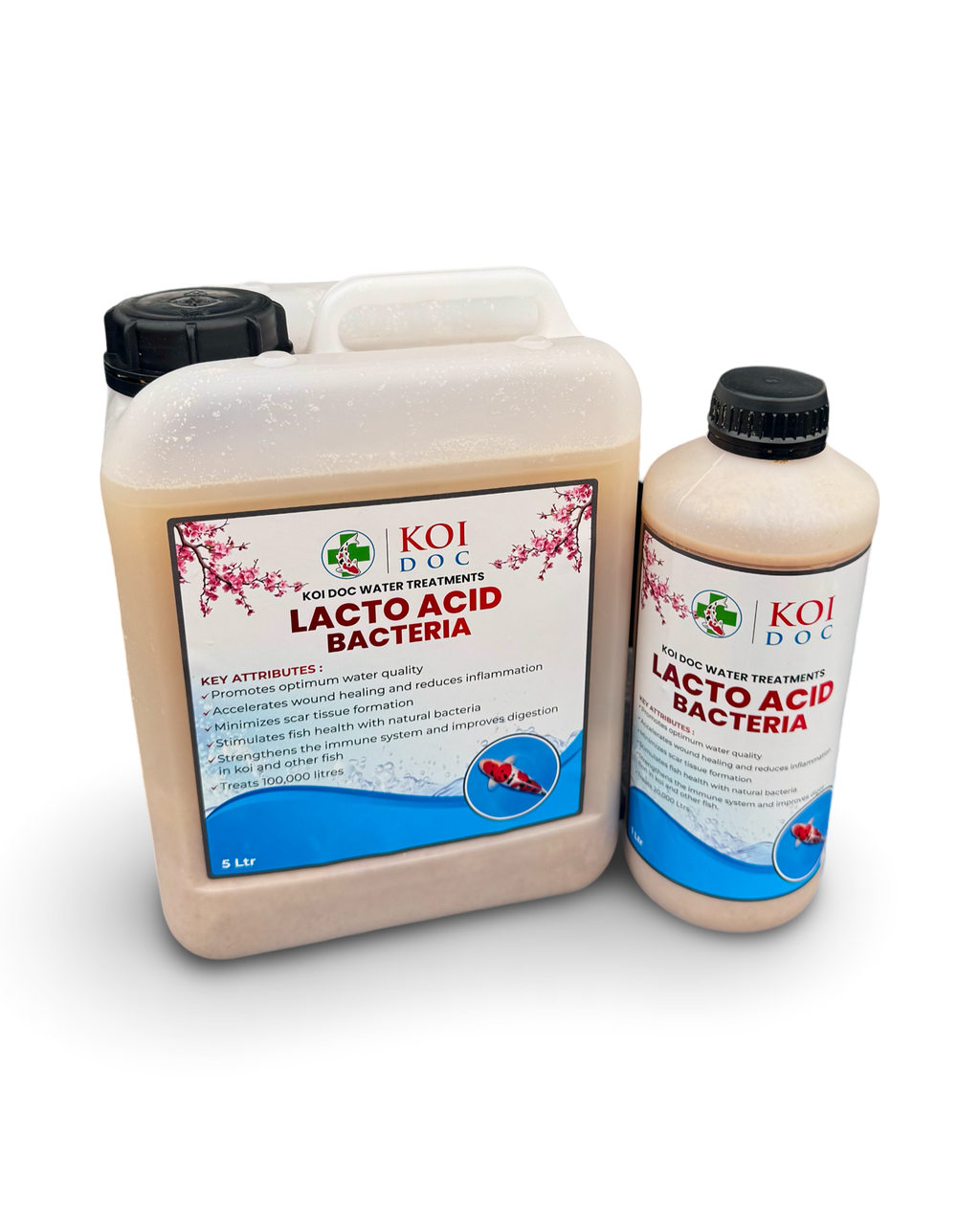 Koi Doc Lacto Acid Bacteria 1 Litre, 5 Litres