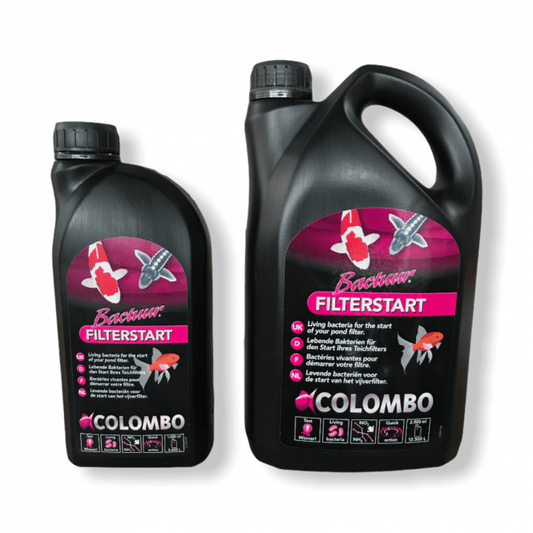 Colombo Filter Start 1Litre, 2.5 Litre