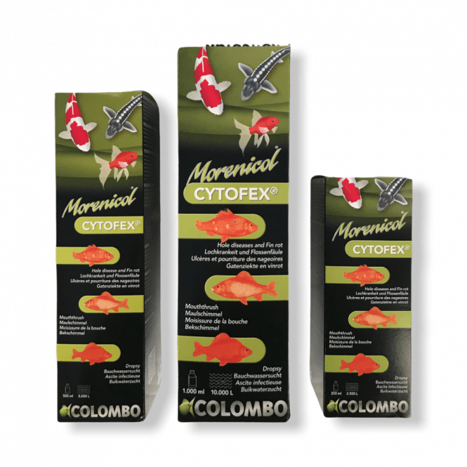 Colombo Cytofex 250ml, 500ml, 1 Litre  Garden Pond Anti Bacterial Treatment