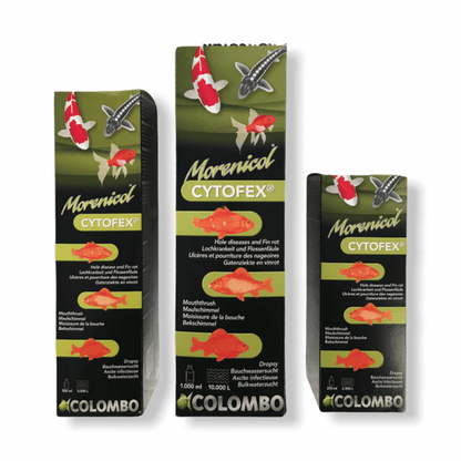 Colombo Cytofex 250ml, 500ml, 1 Litre  Garden Pond Anti Bacterial Treatment