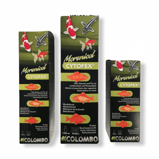 Colombo Cytofex 250ml, 500ml, 1 Litre  Garden Pond Anti Bacterial Treatment