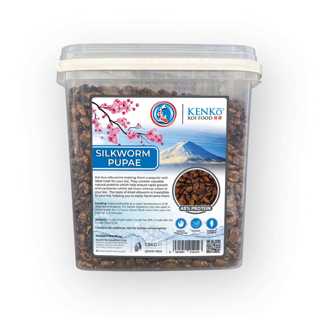 Kenko High Quality Dried Silkworm Pupae 1.5kg container with label indicating 45% protein for koi treats.