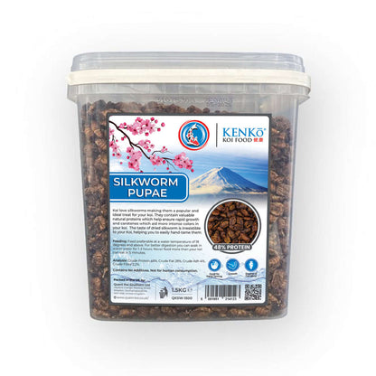 Kenko High Quality Dried Silkworm Pupae 1.5kg container with label indicating 45% protein for koi treats.