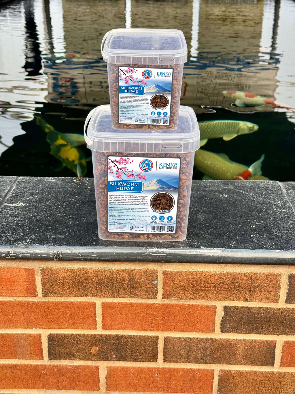 Kenko High Quality Dried Silkworm Pupae Koi Treats in packages beside koi pond, ideal for koi feeding.
