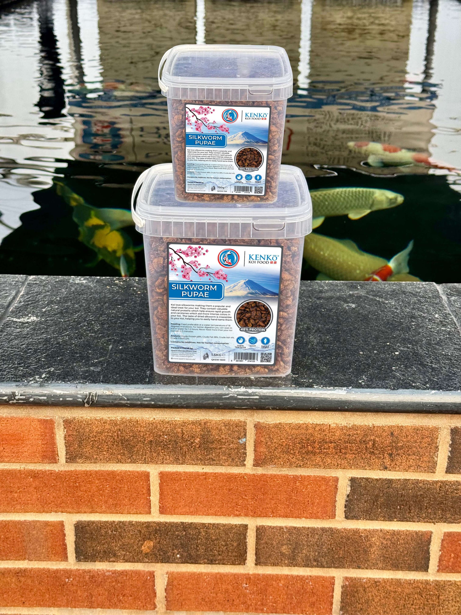 Kenko High Quality Dried Silkworm Pupae Koi Treats in packages beside koi pond, ideal for koi feeding.