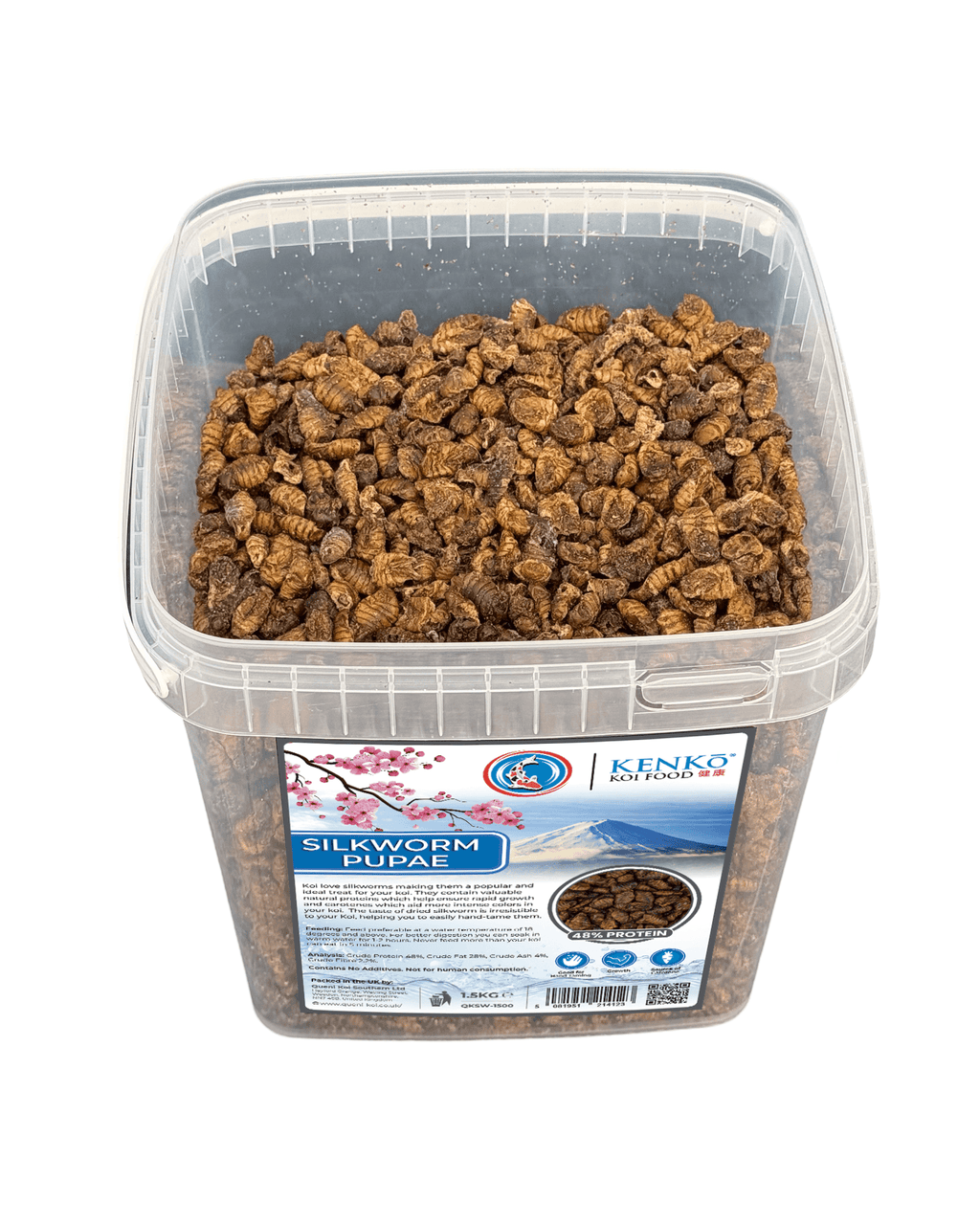 Kenko High Quality Dried Silkworm Pupae in a container, ideal treat for koi, rich in natural proteins.