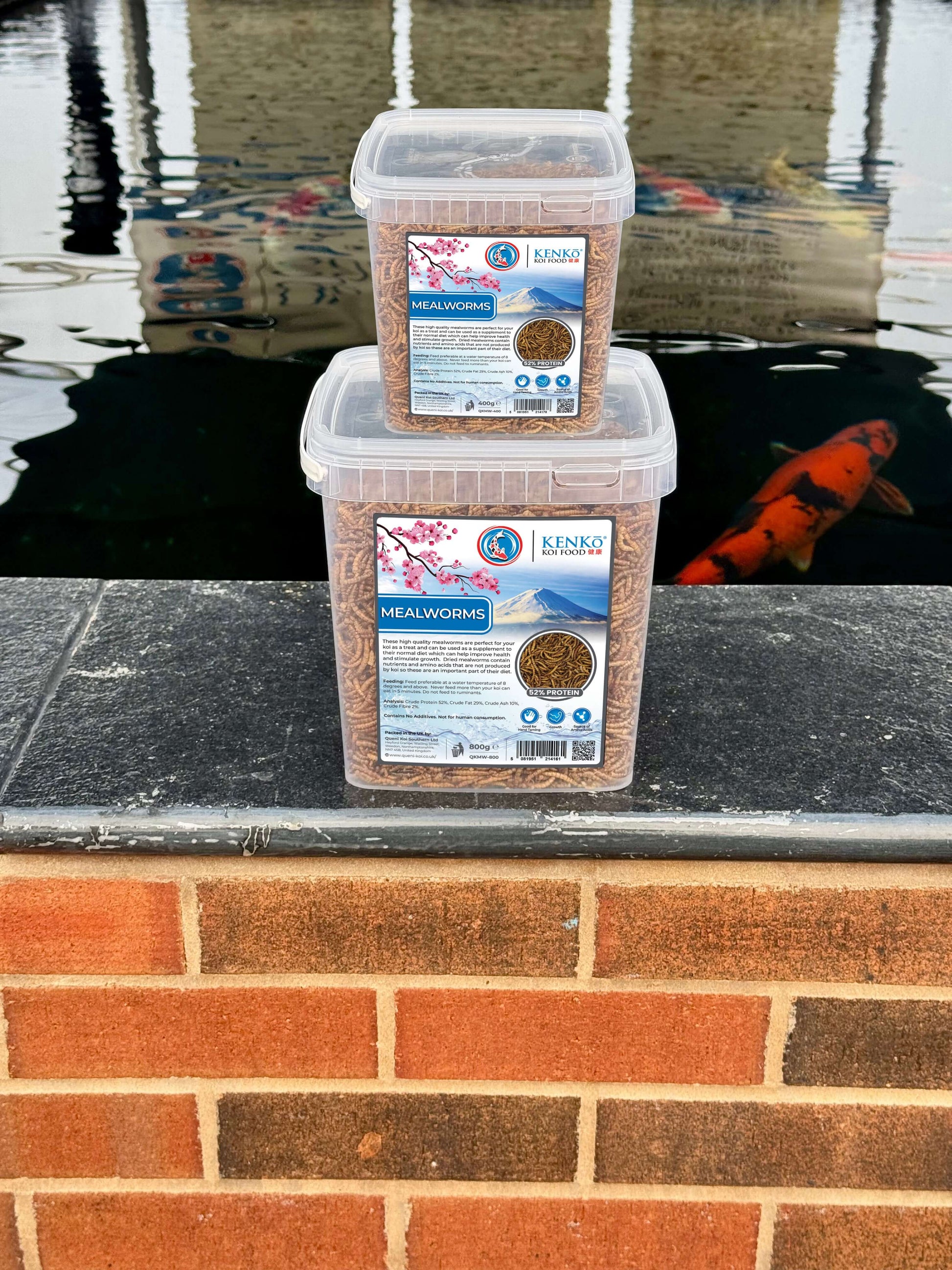 Kenko High Quality Dried Mealworms Koi Treats in clear containers by pond with koi fish, 400g and 800g options.