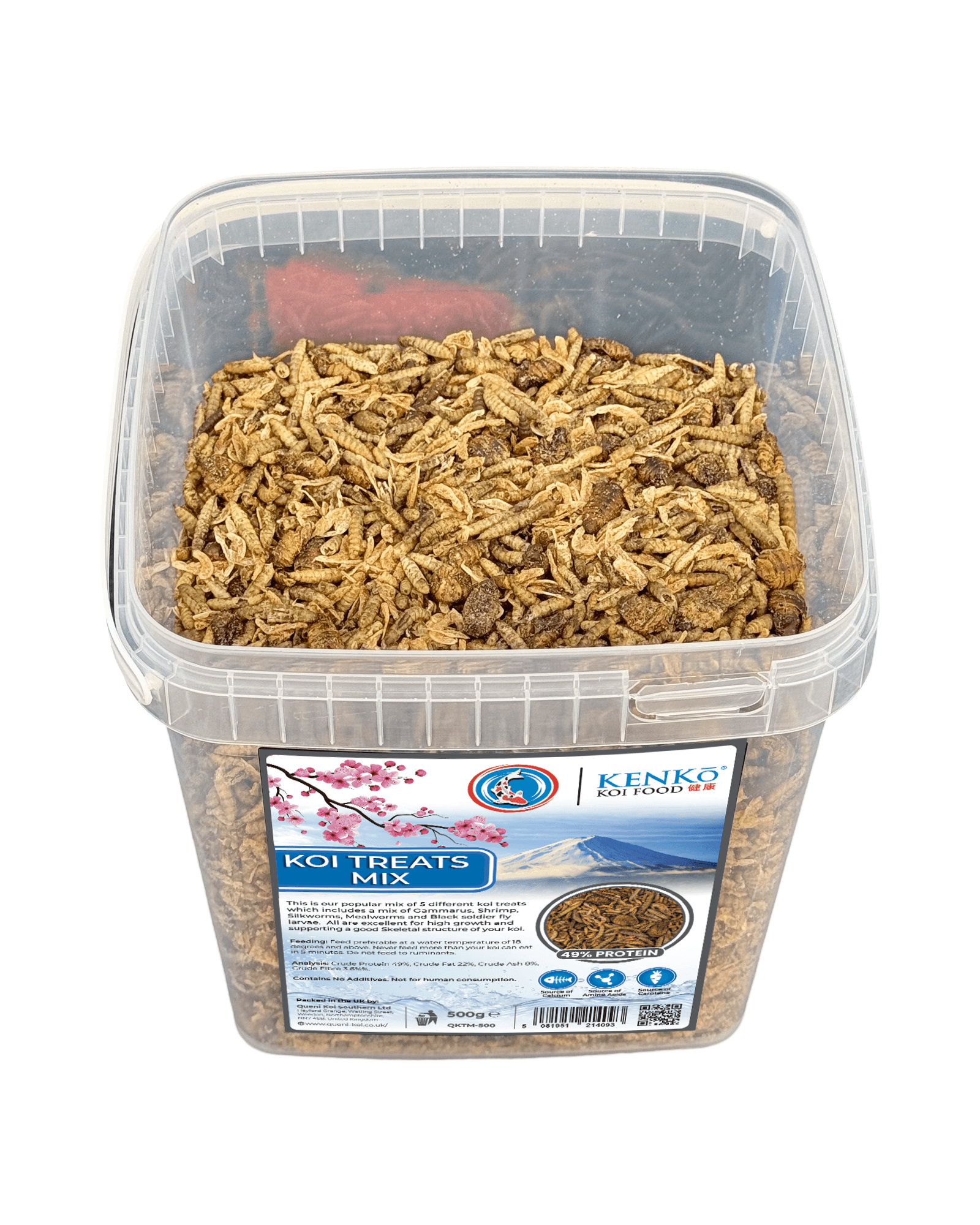 Kenko Koi Treats enjoying high-protein natural insect treats