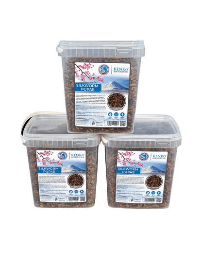 Kenko High Quality Dried Silkworm Pupae 750g and 1.5kg Koi treats in clear containers stacked together.