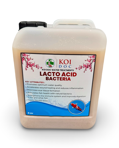 Koi Doc Lacto Acid Bacteria 1 Litre, 5 Litres
