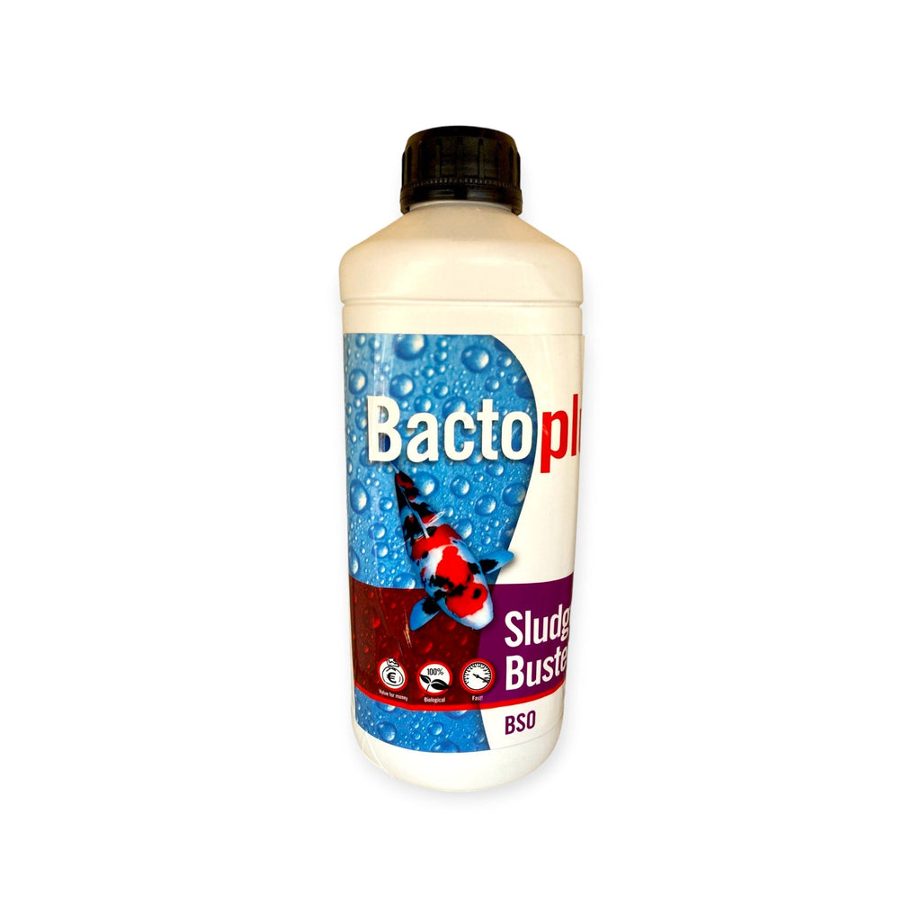 Bactoplus BSO (Sludge Buster) 1 Litre, 2.5 Litre