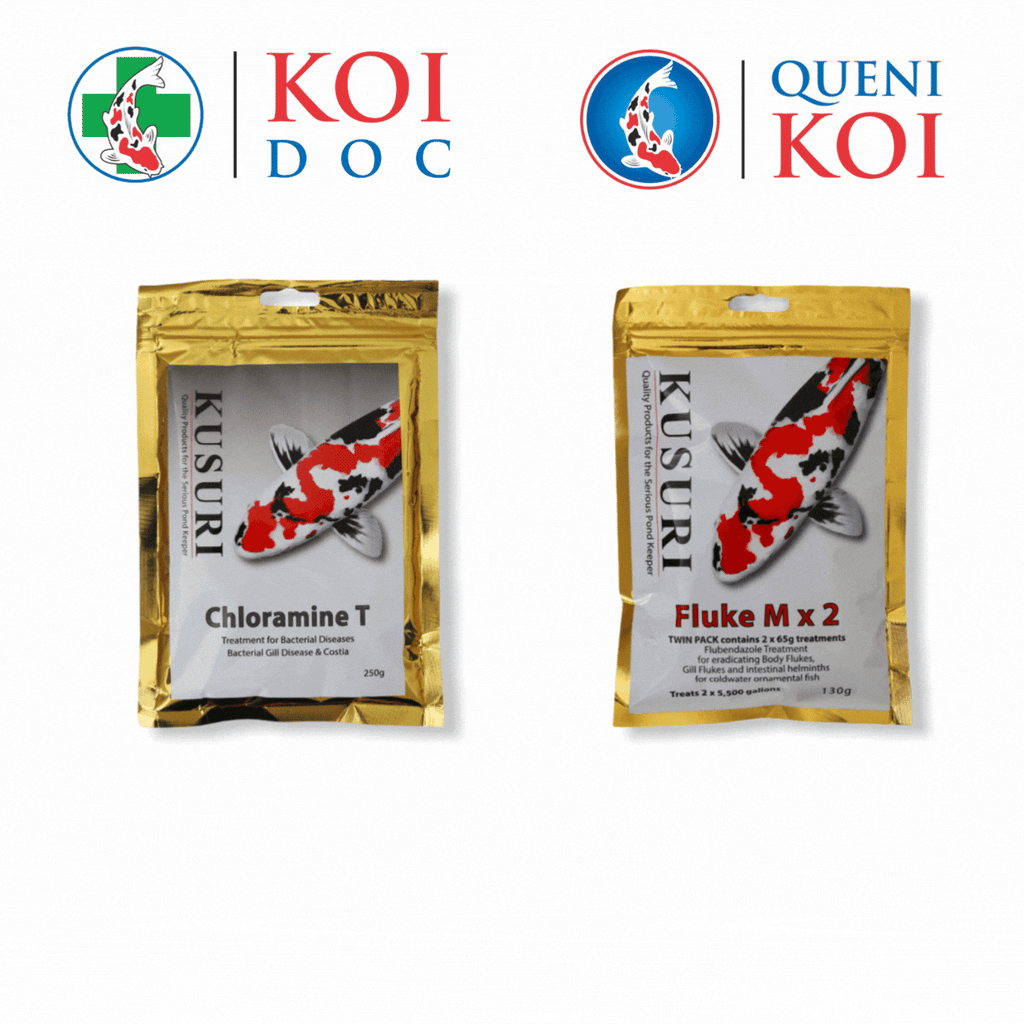 Kusuri Chloramine T 250g and Fluke M 130g