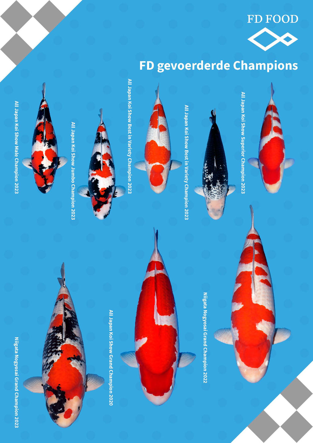 FD Build Up Extra - Sinking 5.7mm 5kg, 20kg