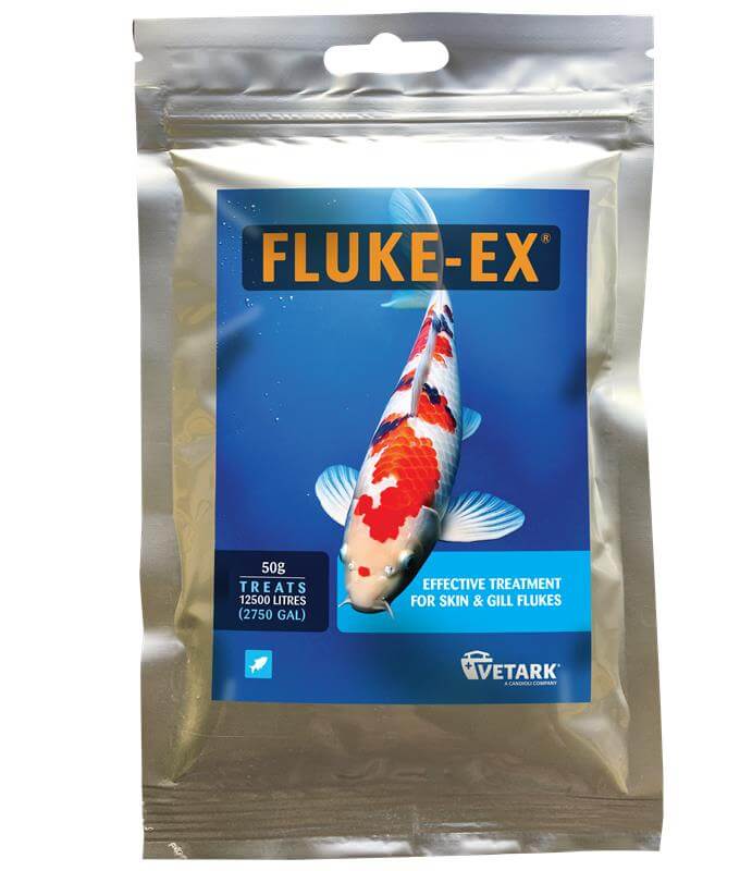 Fluke-Ex koi treatment for resistant fluke strains