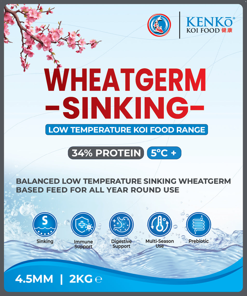 Kenko Wheatgerm Sinking Koi Food 4.5mm 2kg, 5.5kg, 9kg