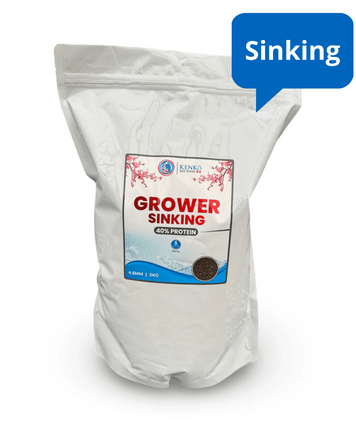 Kenko Grower Sinking Premium Koi Food for Pond Fish