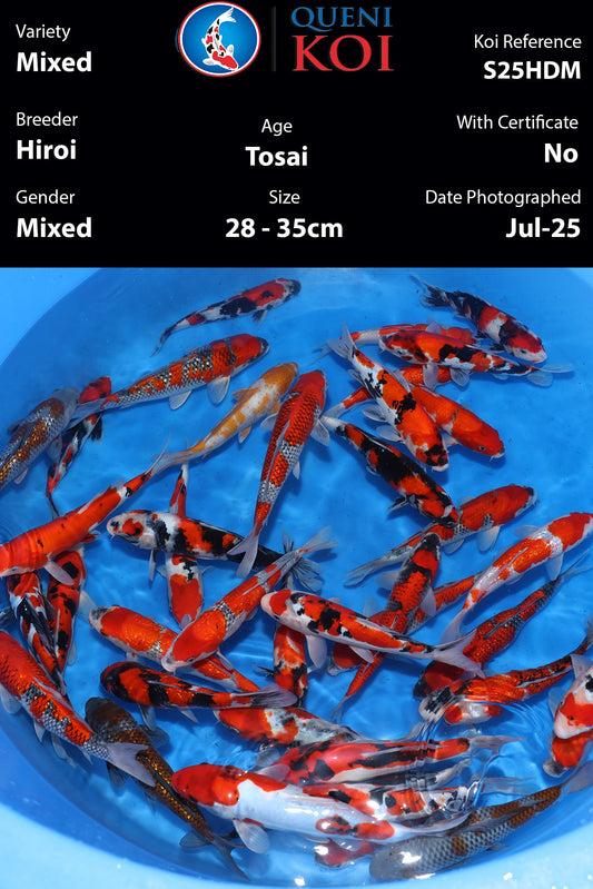 Hiroi Tosai Mix - S25HDM