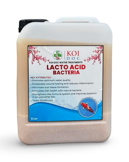 Koi Doc Lacto Acid Bacteria 1 Litre, 5 Litres