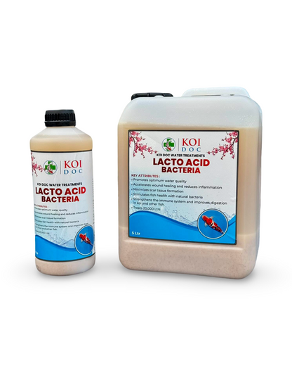 Koi Doc Lacto Acid Bacteria 1 Litre, 5 Litres