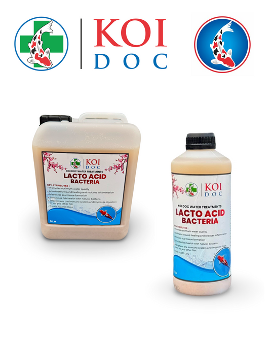 Koi Doc Lacto Acid Bacteria 1 Litre, 5 Litres