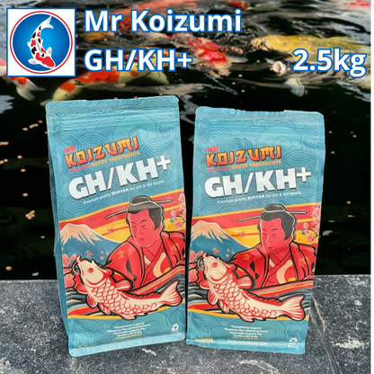 Mr Koizumi  GH/KH+ 2.5kg