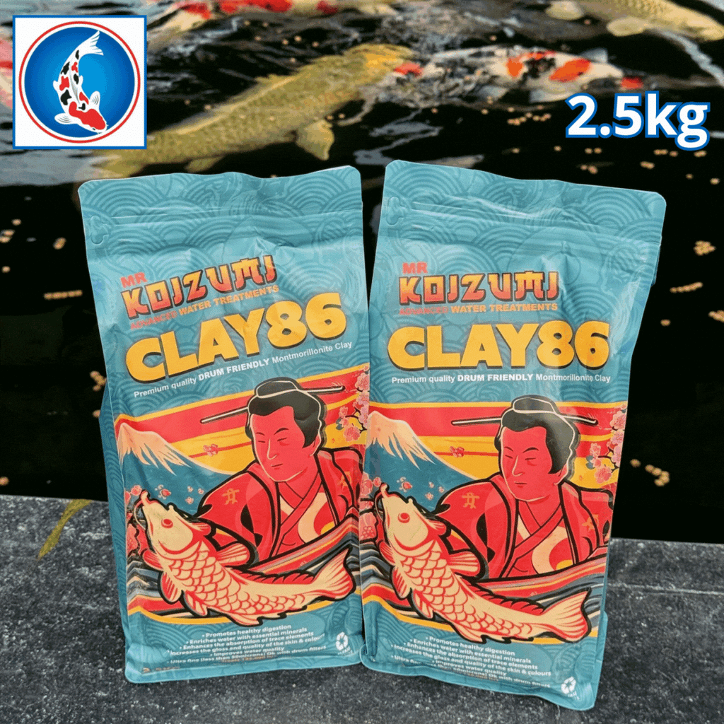 Mr Koizumi  Clay 86 2.5kg