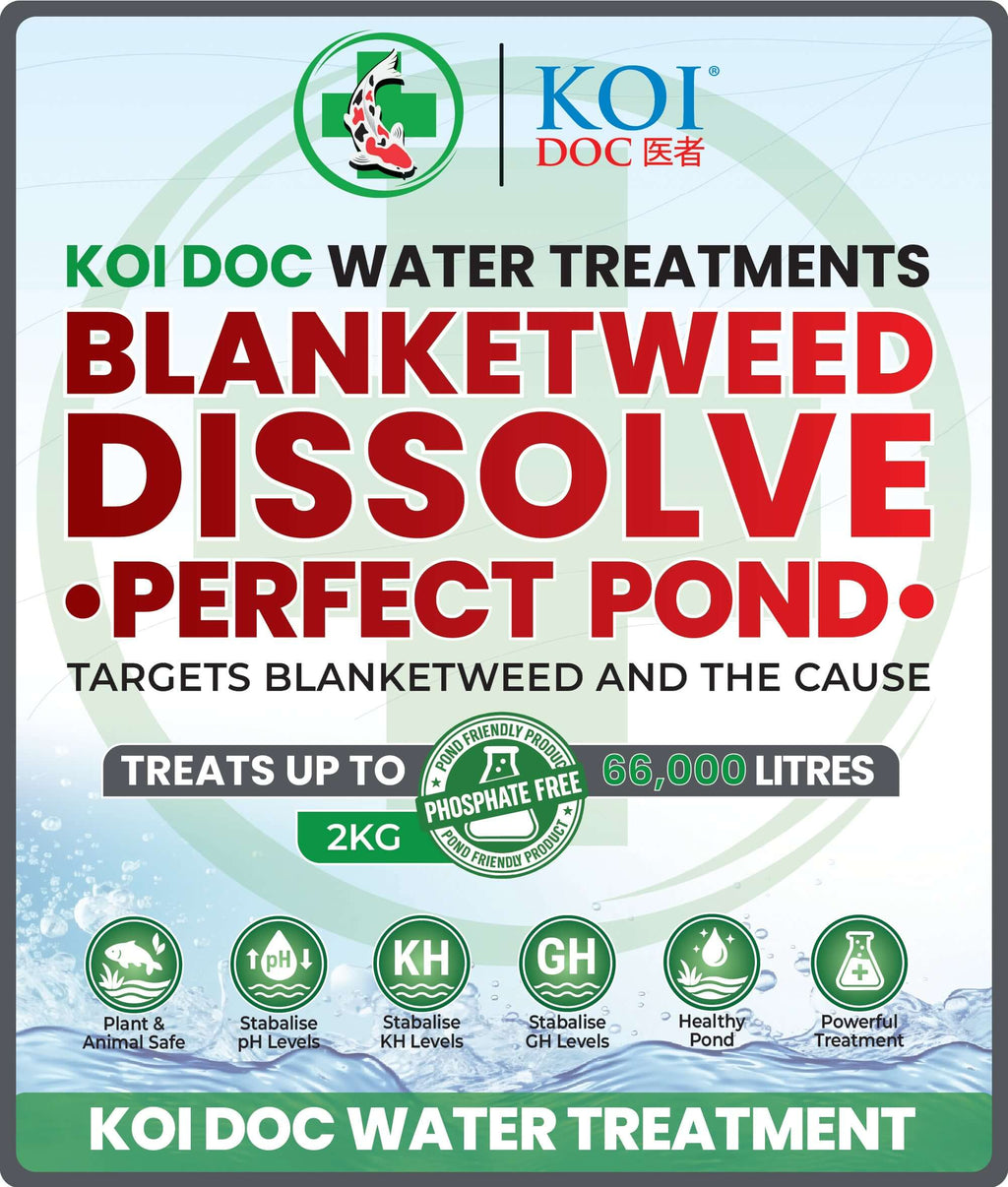 Koi Doc blanketweed pond treatment Dissolve Perfect Pond for clearing pond water and targeting blanketweed.
