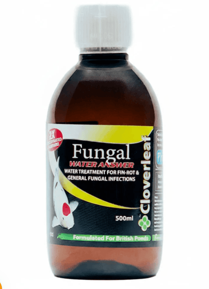 Cloverleaf Fungal Water Answer 500ml bottle for treating fin rot and fungal infections in ornamental fish.