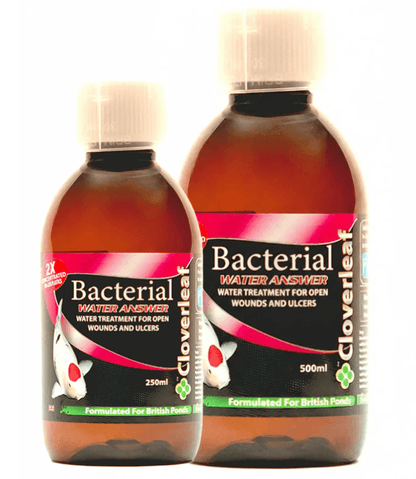 Cloverleaf Bacterial Water Answer pond treatment bottles for fish infections, 250ml and 500ml sizes.
