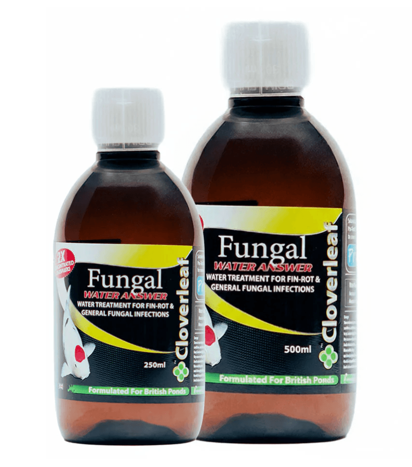 Cloverleaf Fungal Water Answer 250ml and 500ml – Concentrated pond treatment for fungal infections and fin rot in koi and ornamental fish
