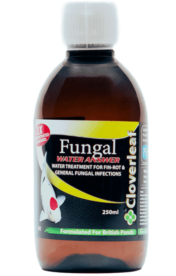 Cloverleaf Fungal Water Answer - Concentrated 2x Strength Pond Treatment 250ml for fungal infections in fish