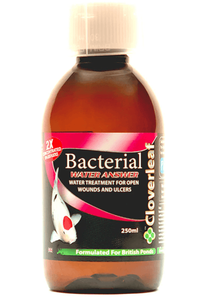 Cloverleaf Bacterial Water Answer 250ml pond treatment for fish infections in ornamental koi and goldfish.