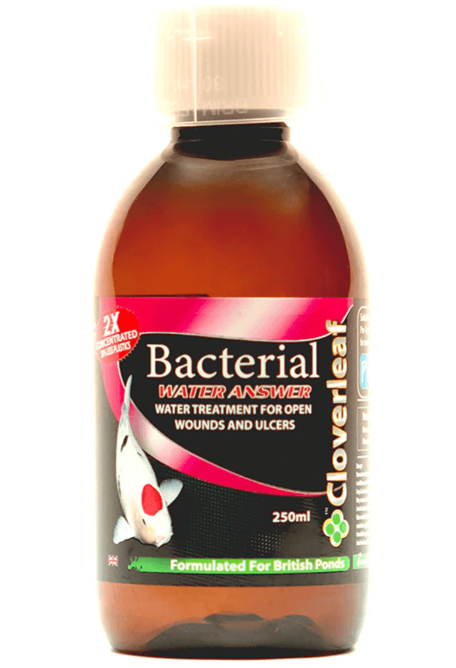 Cloverleaf Bacterial Water Answer 250ml and 500ml – Professional pond treatment for bacterial infections in koi and ornamental fish